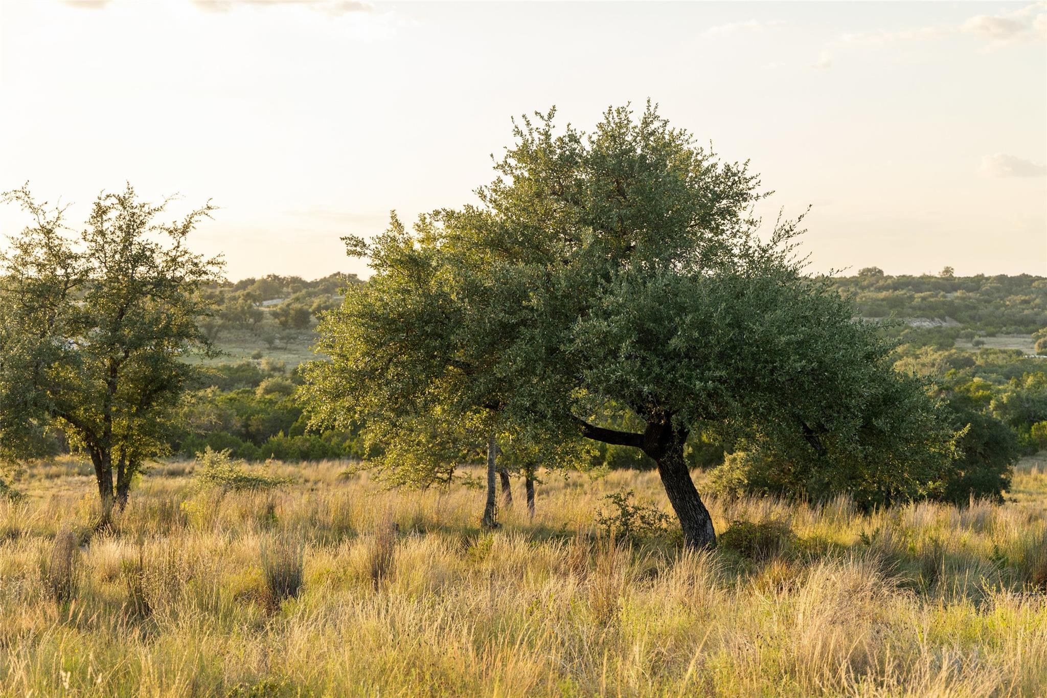 Lot 68 W Leaning Madrone Dr, Johnson City, TX 78636