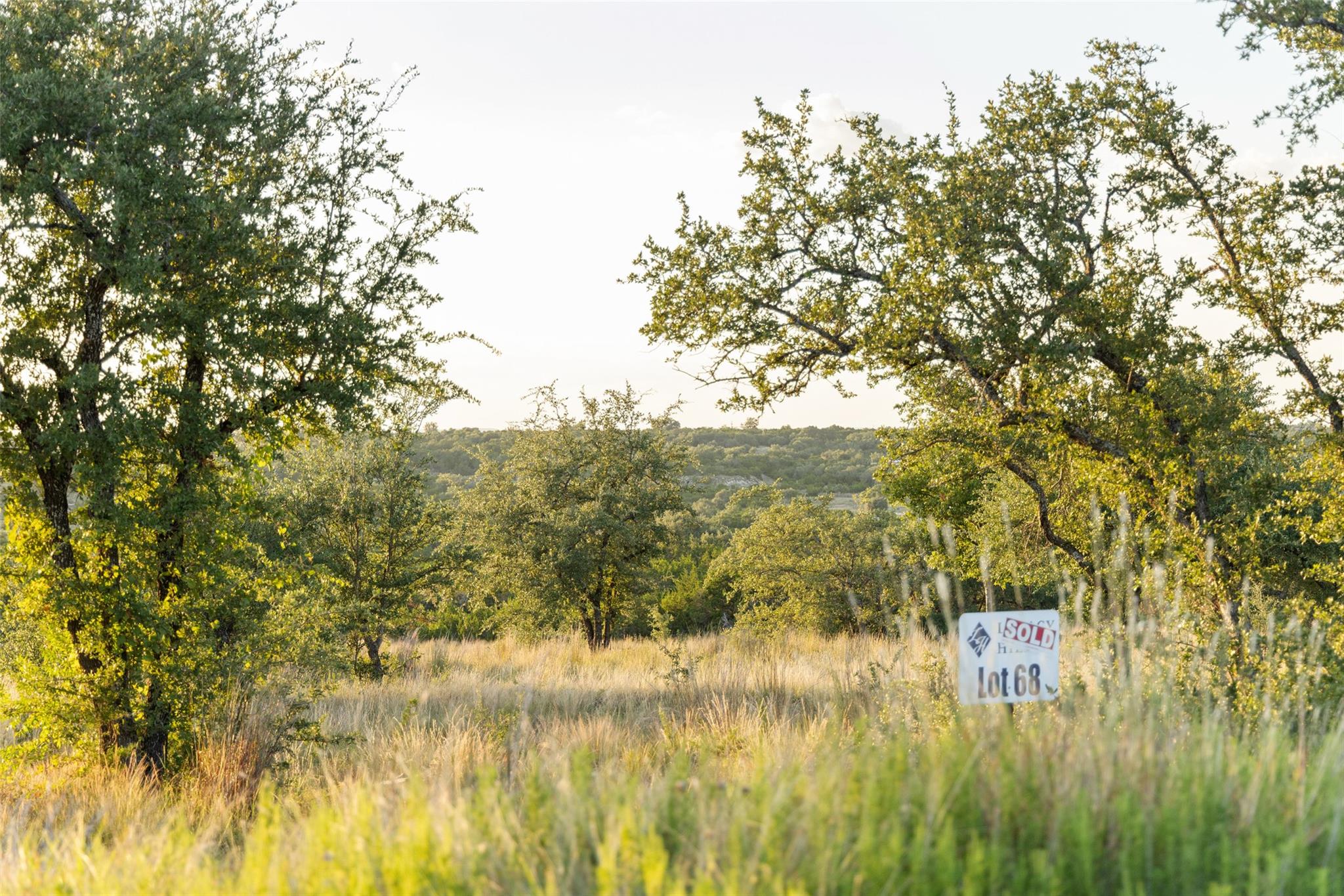 Lot 68 W Leaning Madrone Dr, Johnson City, TX 78636