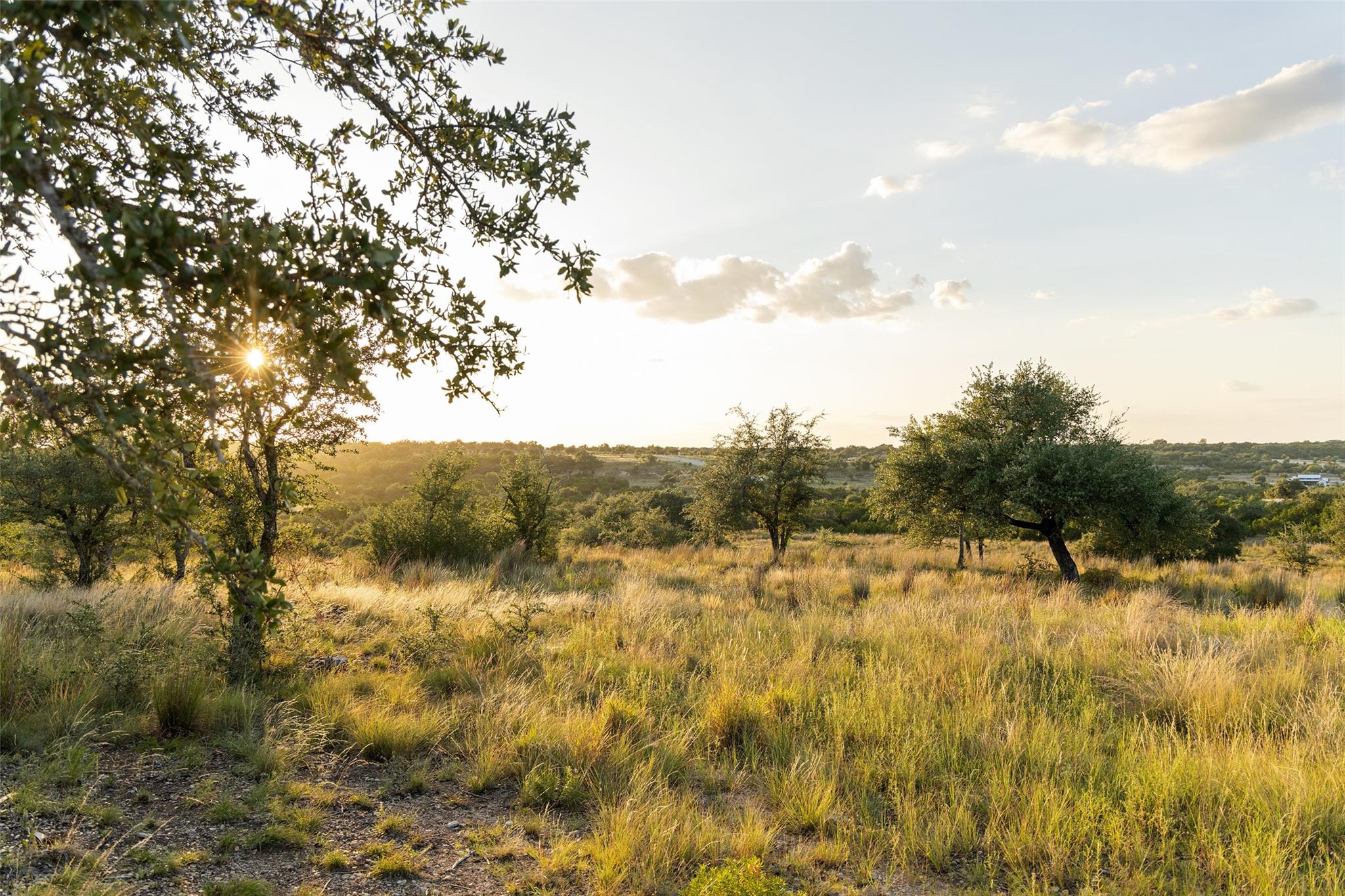 Lot 68 W Leaning Madrone Dr, Johnson City, TX 78636