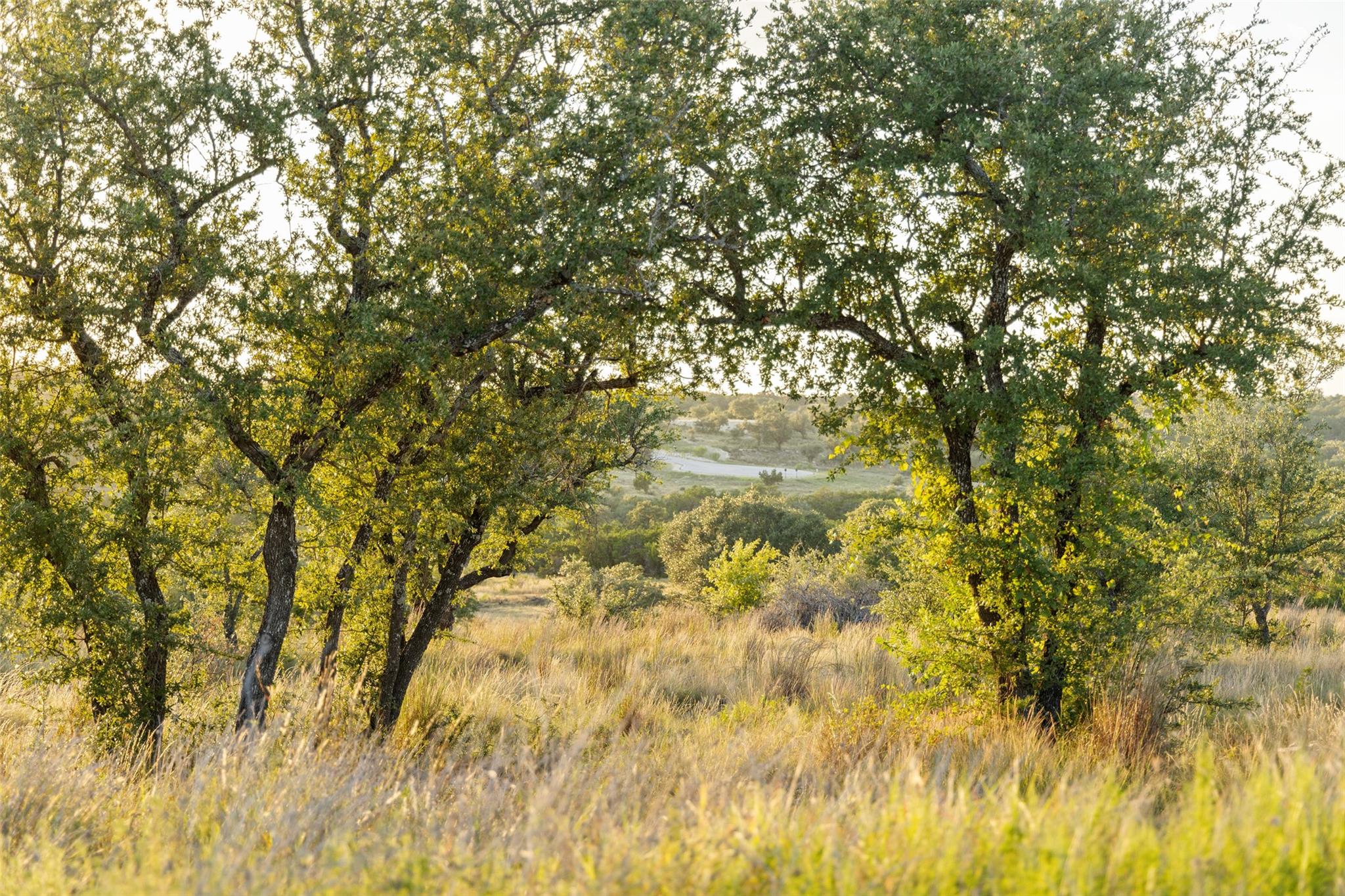 Lot 68 W Leaning Madrone Dr, Johnson City, TX 78636