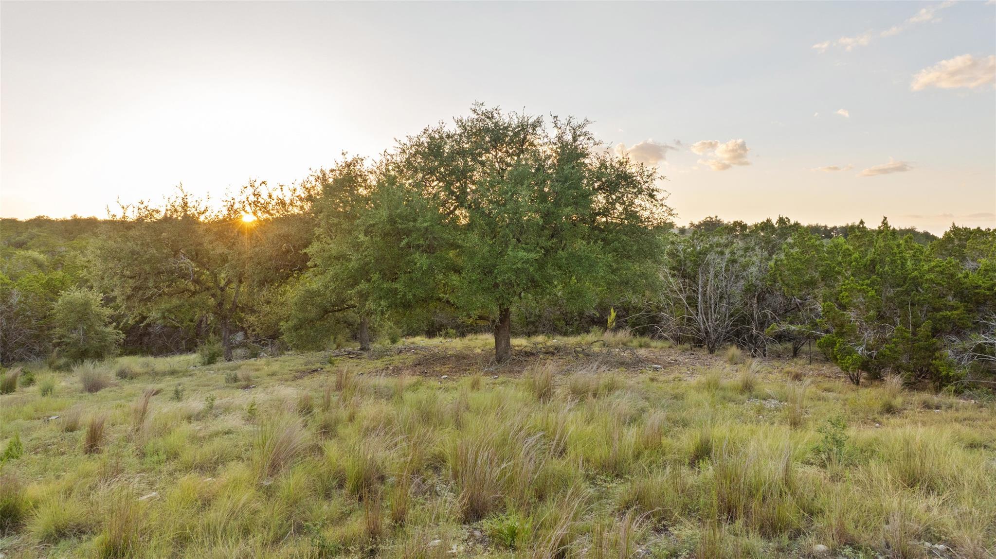 Lot 68 W Leaning Madrone Dr, Johnson City, TX 78636