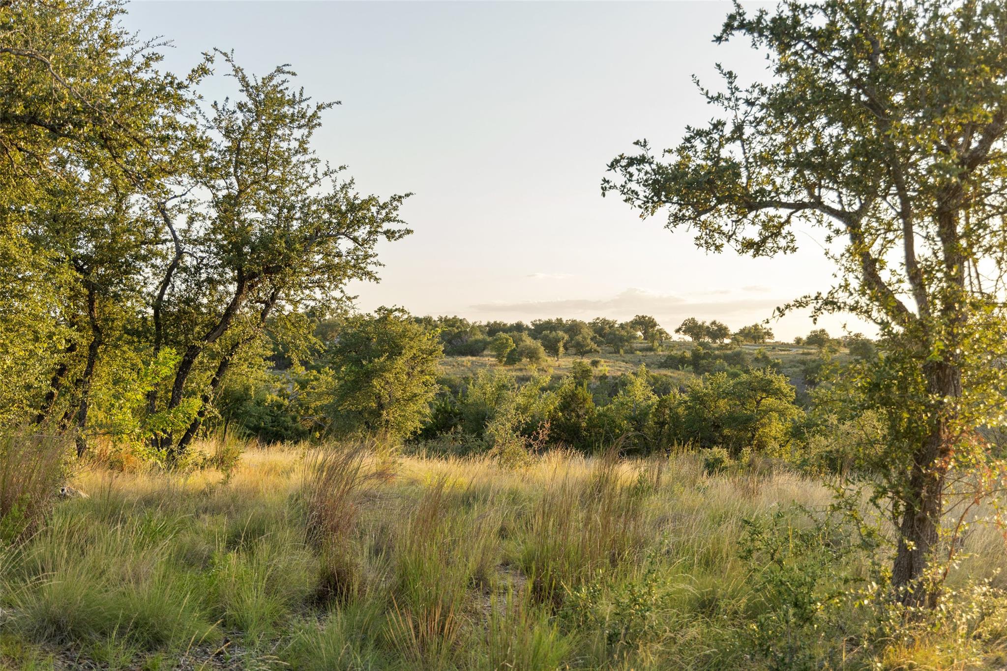 Lot 68 W Leaning Madrone Dr, Johnson City, TX 78636