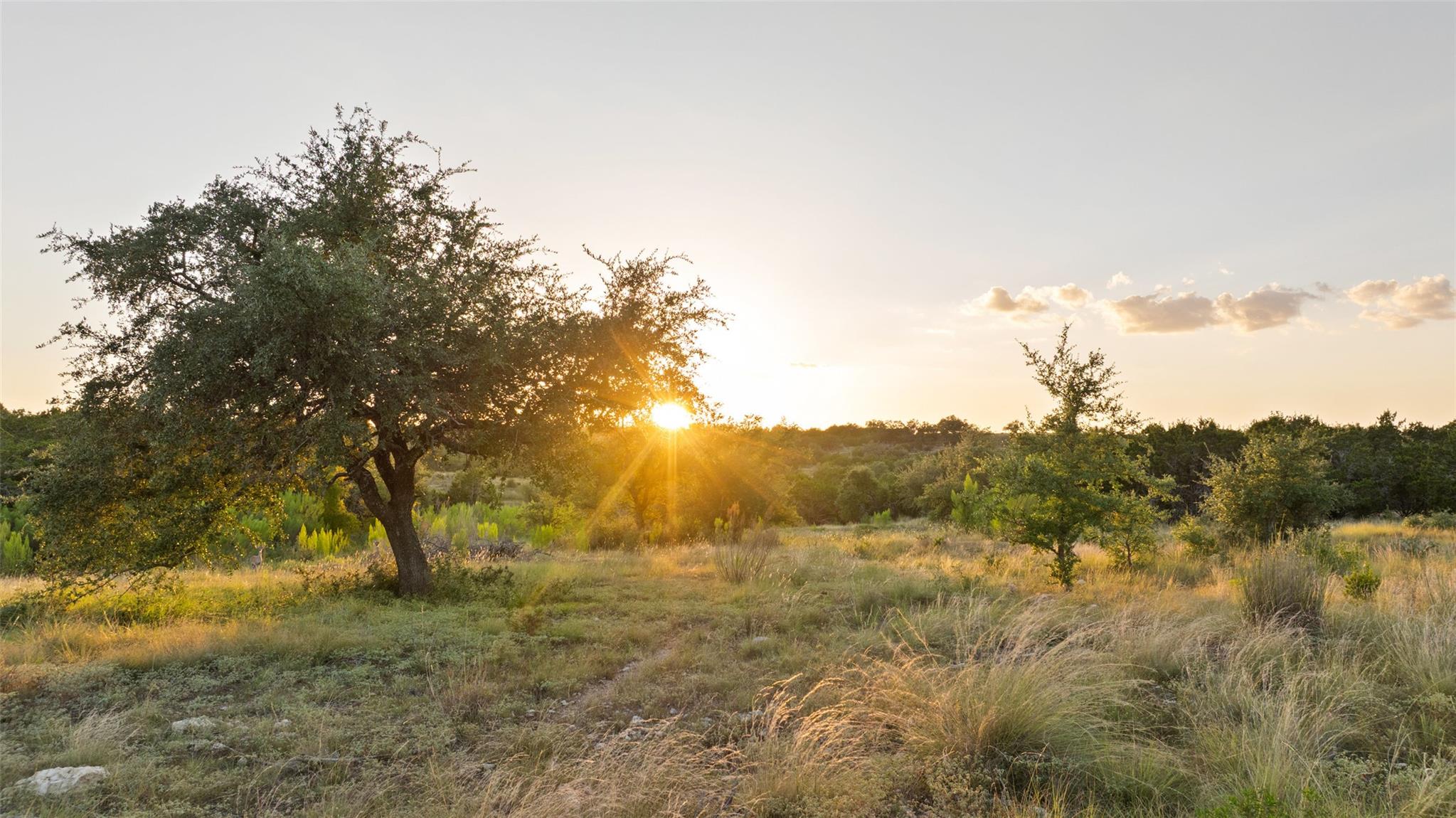 Lot 68 W Leaning Madrone Dr, Johnson City, TX 78636