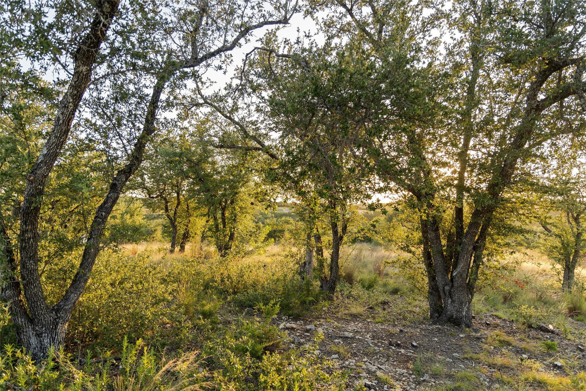 Lot 68 W Leaning Madrone Dr, Johnson City, TX 78636