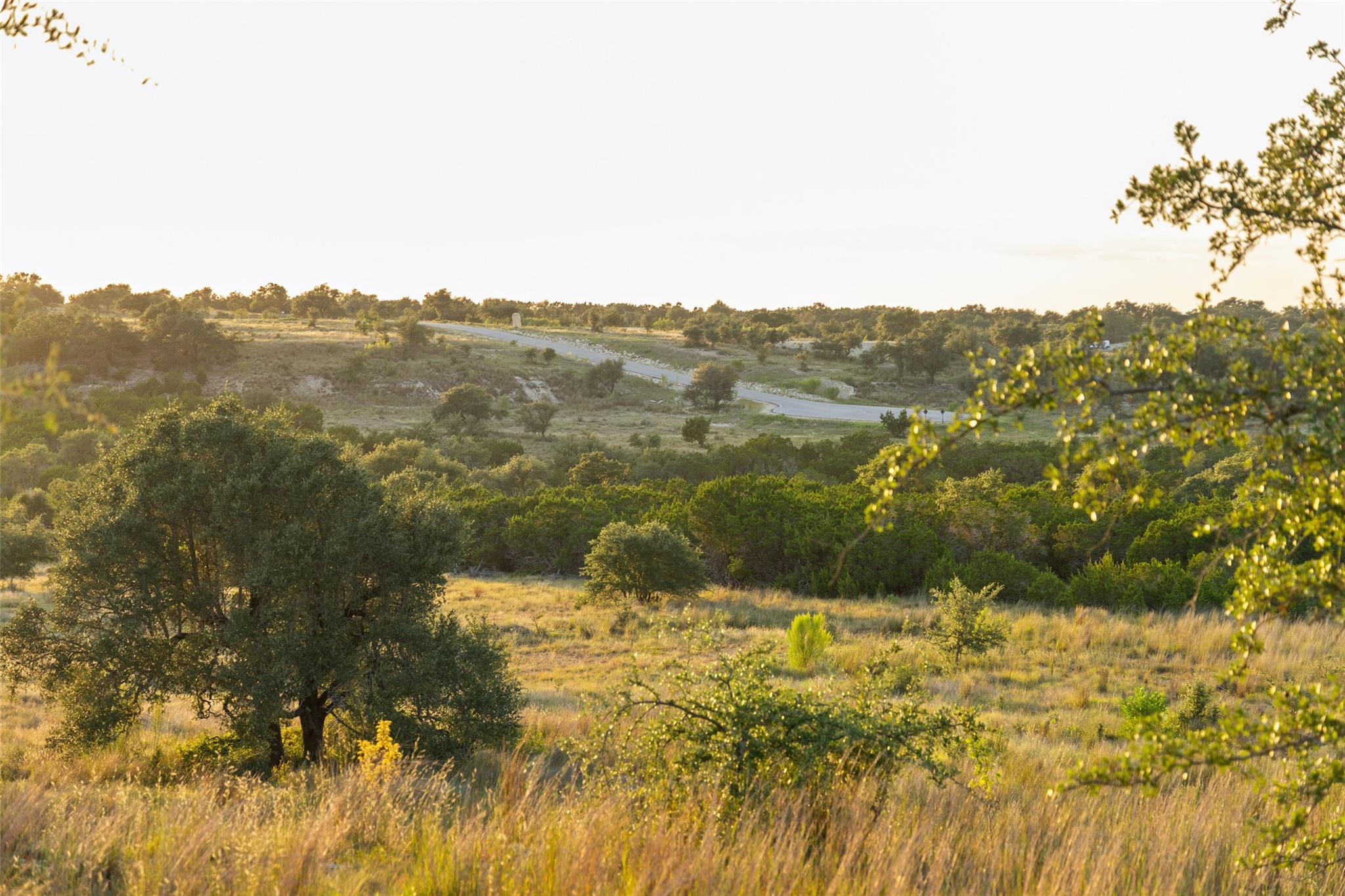 Lot 68 W Leaning Madrone Dr, Johnson City, TX 78636