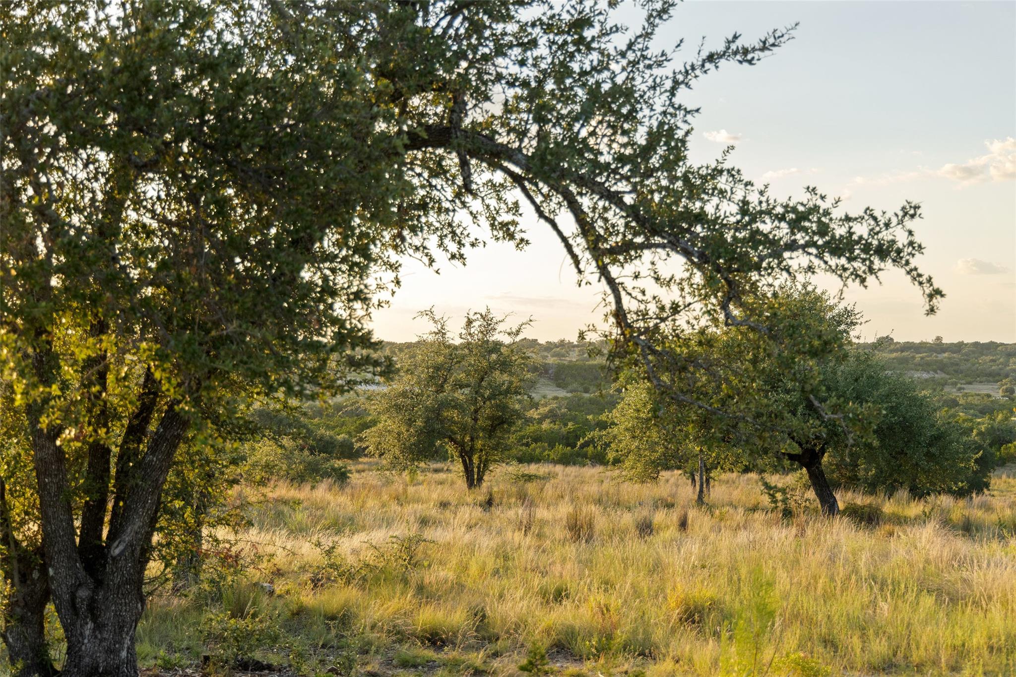 Lot 68 W Leaning Madrone Dr, Johnson City, TX 78636