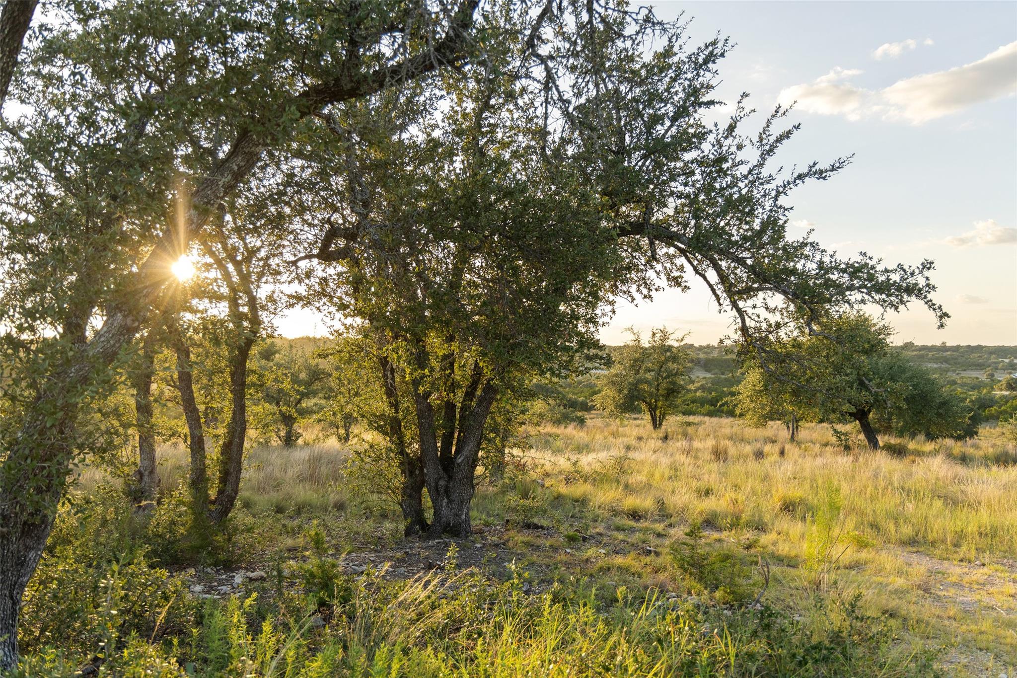 Lot 68 W Leaning Madrone Dr, Johnson City, TX 78636