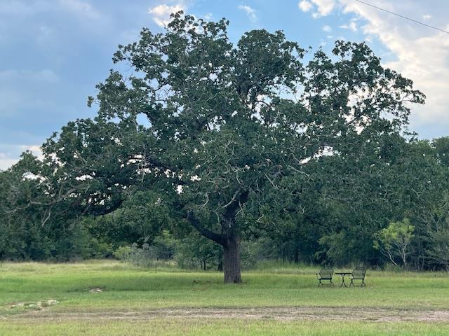 266 Catfish Ln # A or #B, Lockhart, TX 78644