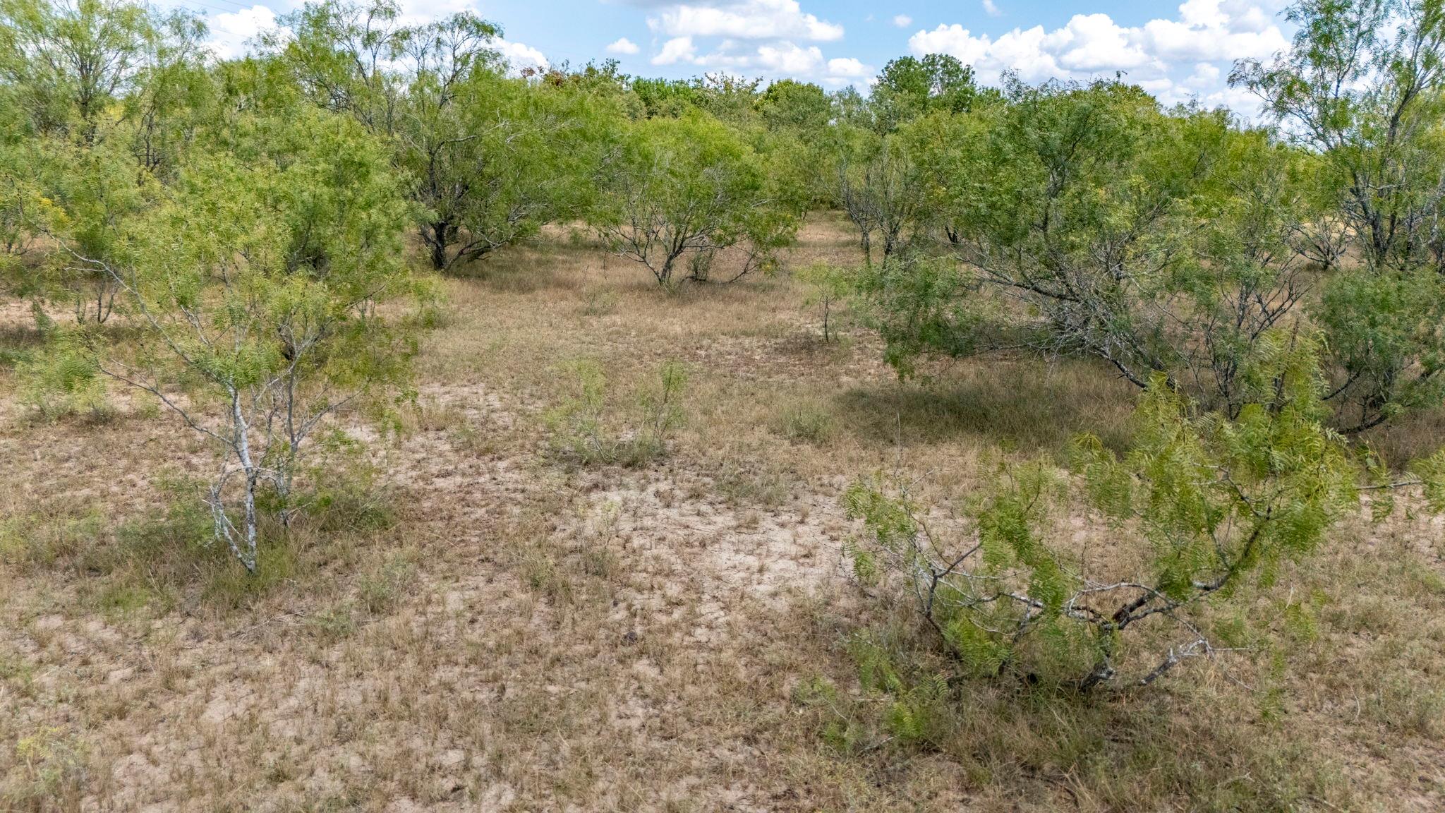 TBD FOX Ln, Lockhart, TX 78644
