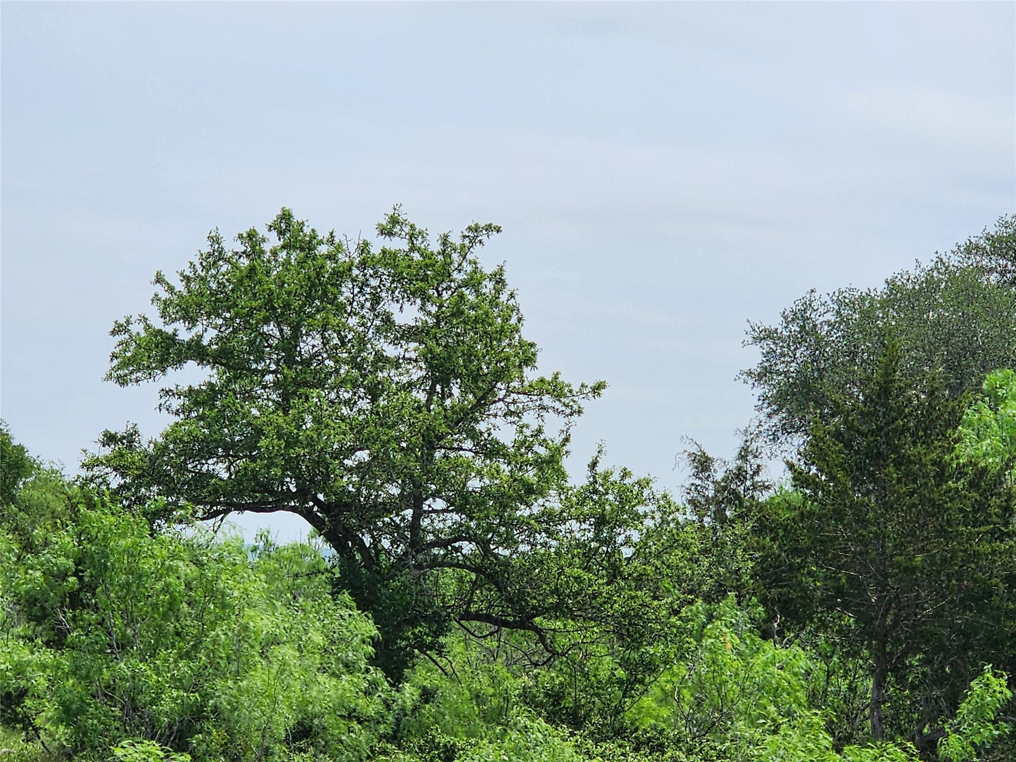 TBD FOX Ln, Lockhart, TX 78644