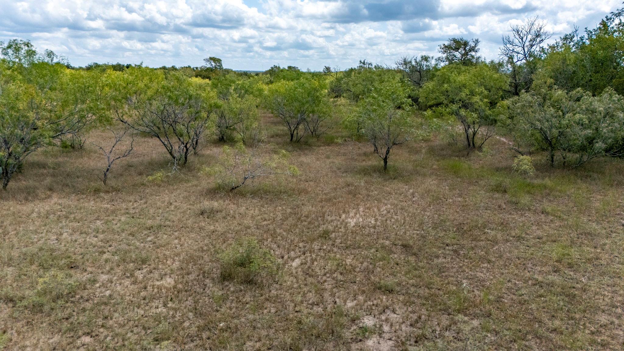 TBD FOX Ln, Lockhart, TX 78644