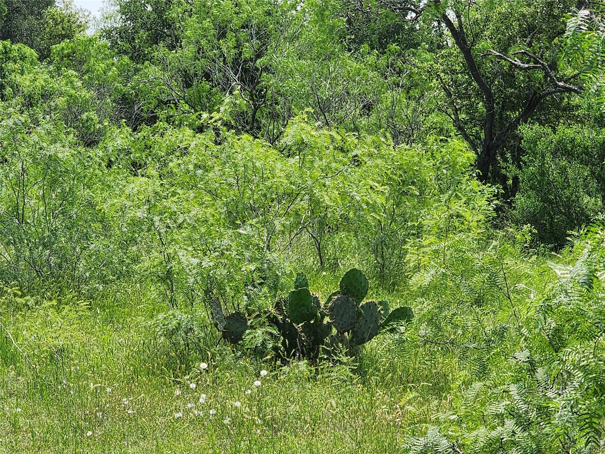 TBD FOX Ln, Lockhart, TX 78644
