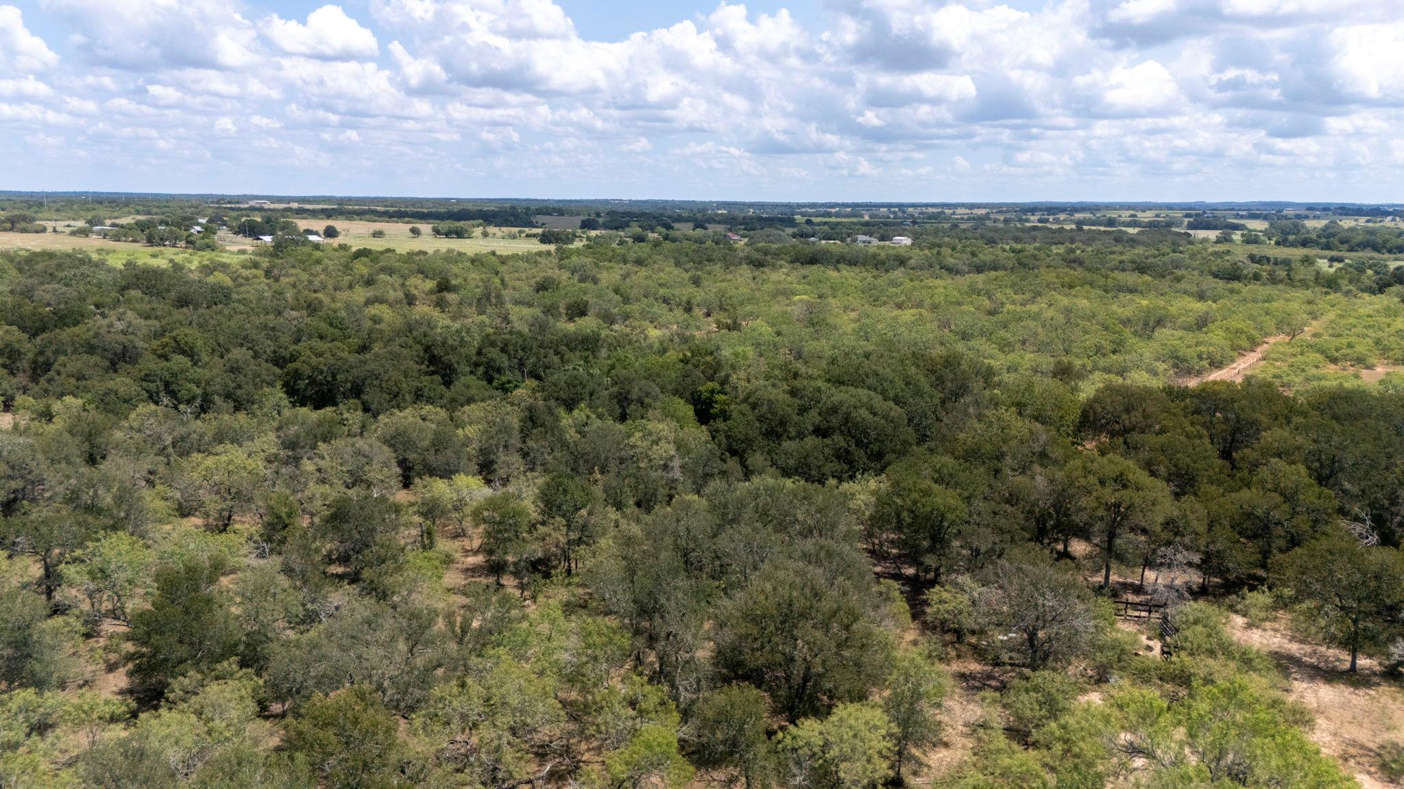 TBD FOX Ln, Lockhart, TX 78644