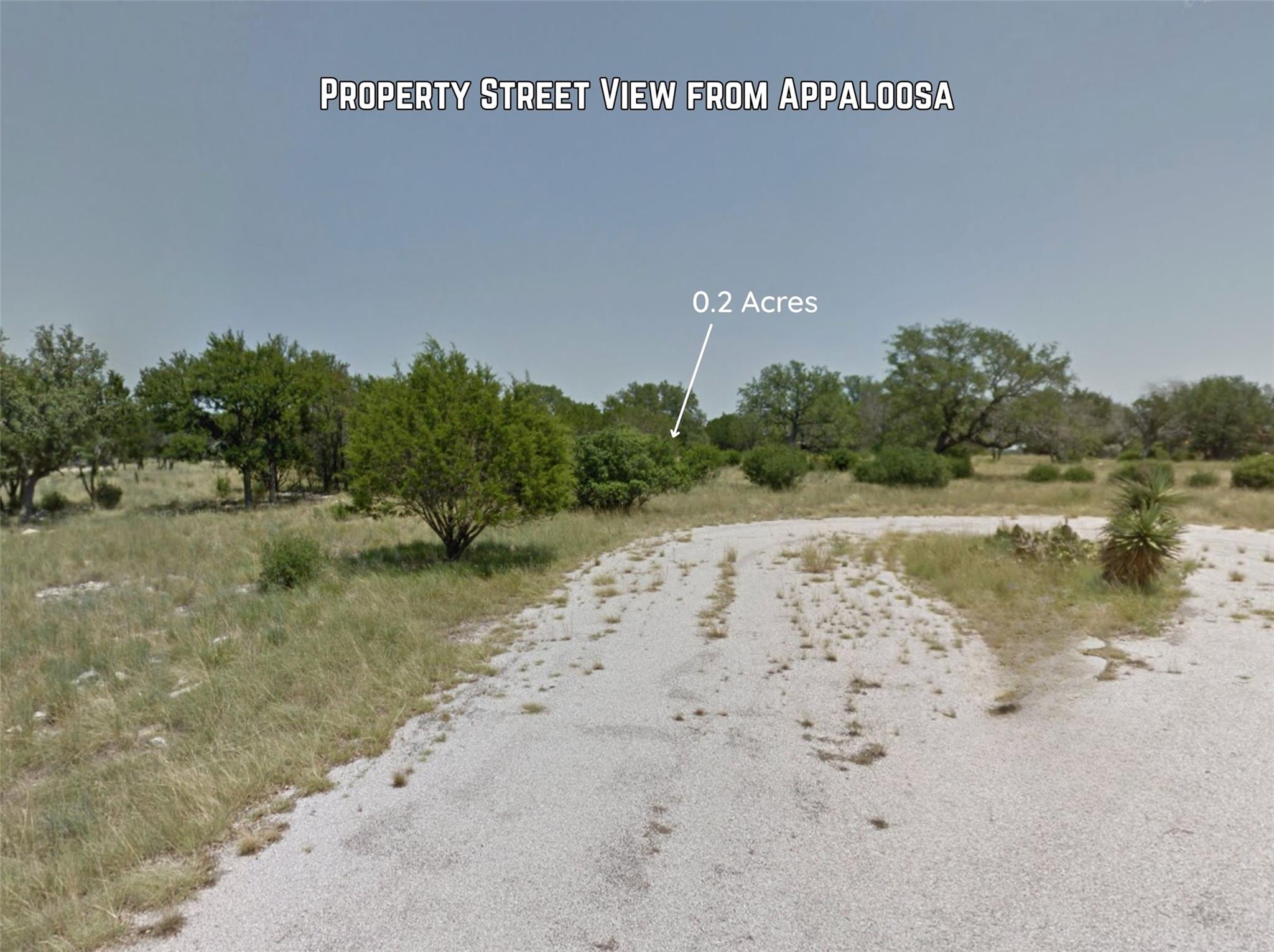 none Appaloosa, Horseshoe Bay, TX 78657