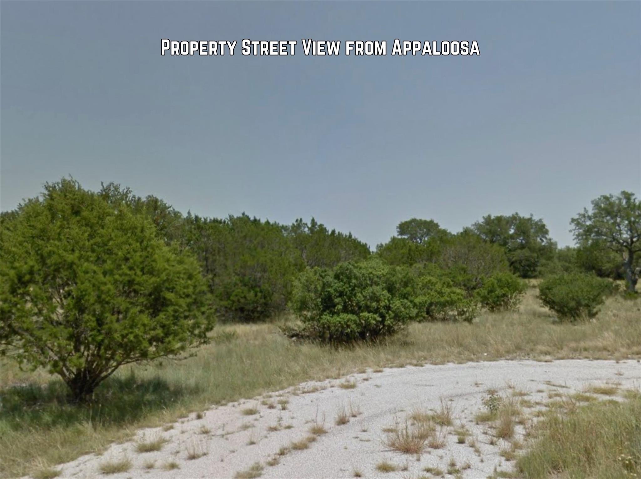 none Appaloosa, Horseshoe Bay, TX 78657