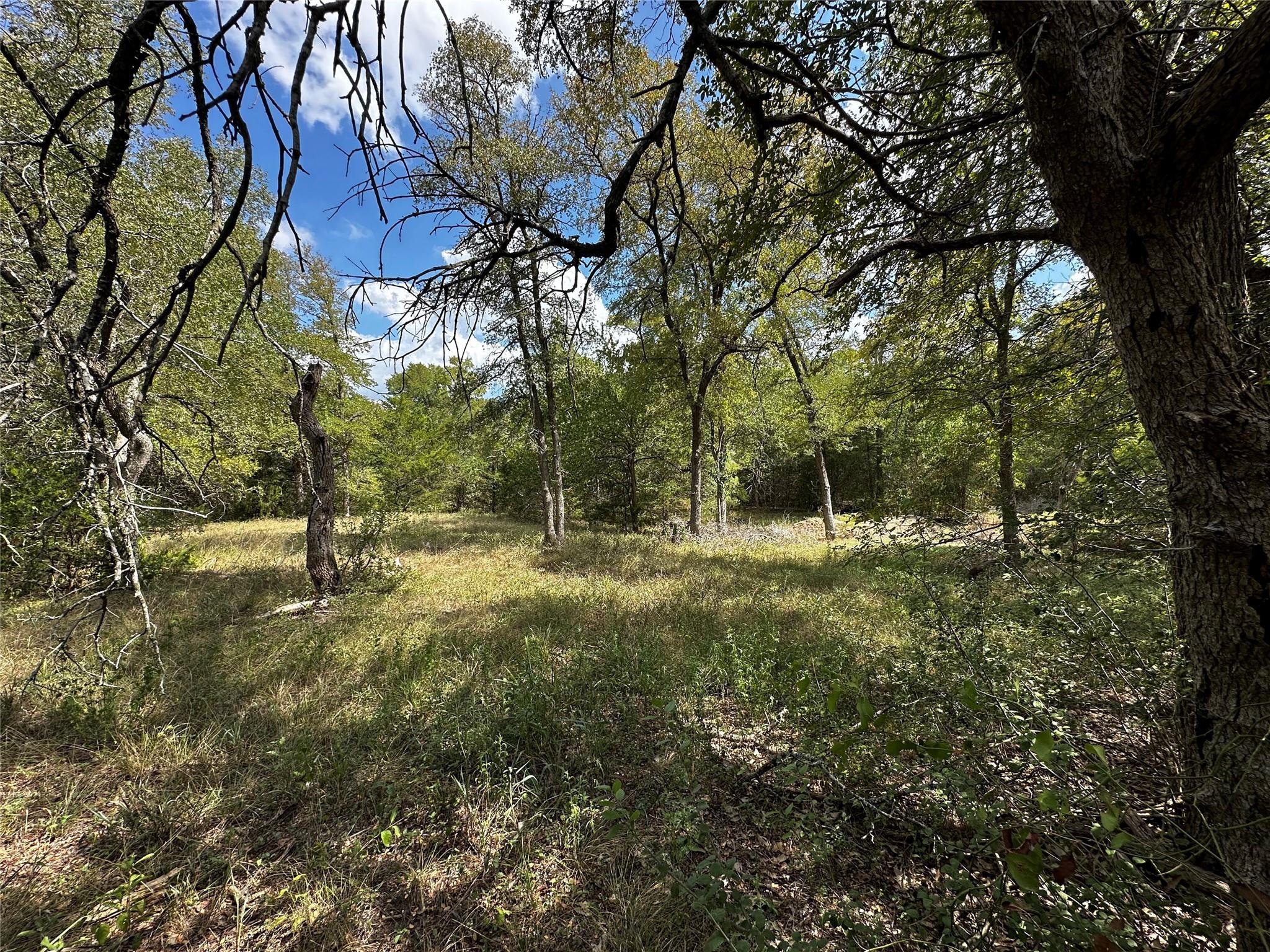 1200 Thompson Rd #Lot 2 Rd, Dale, TX 78616