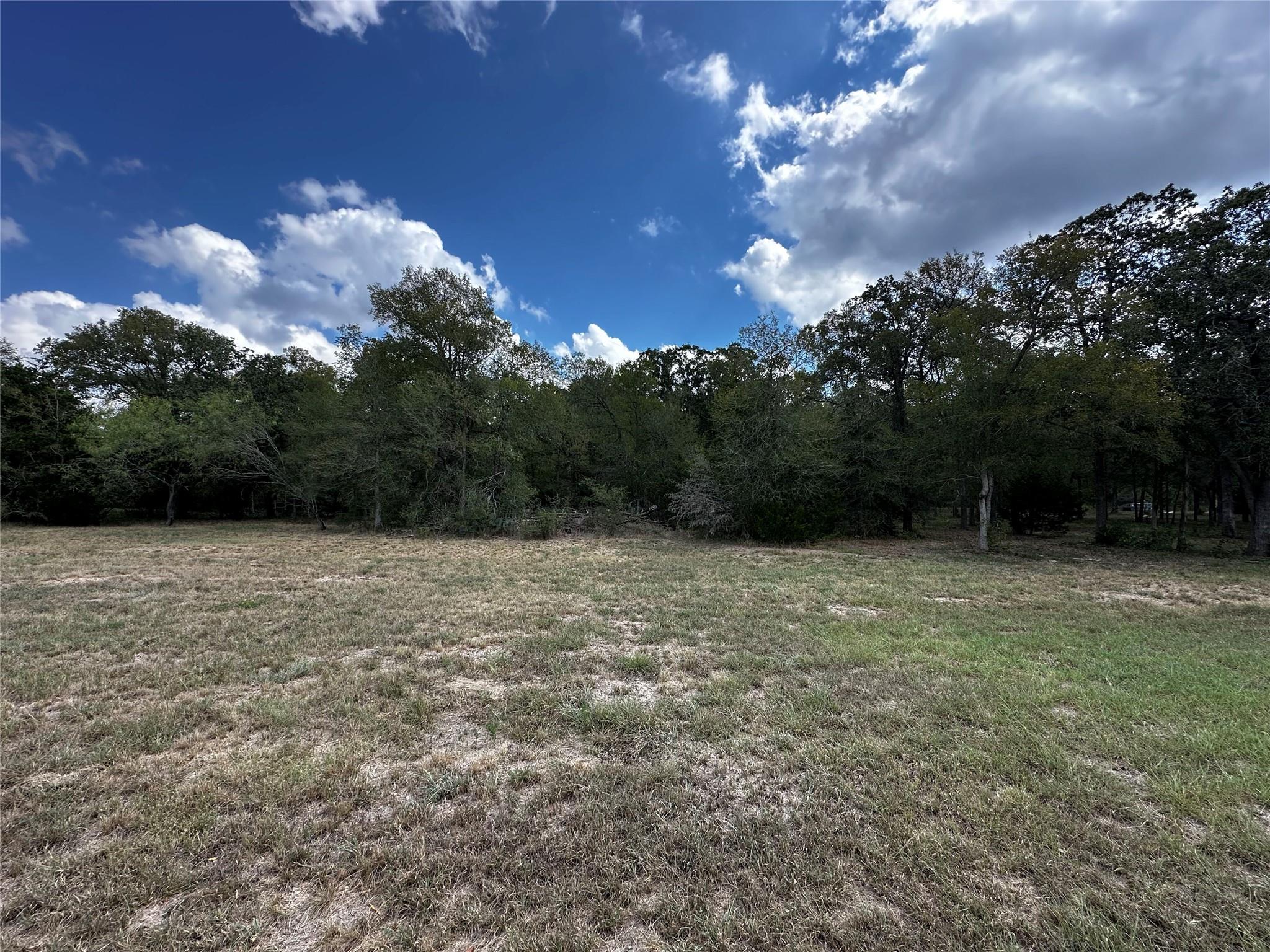 1200 Thompson Rd #Lot 2 Rd, Dale, TX 78616