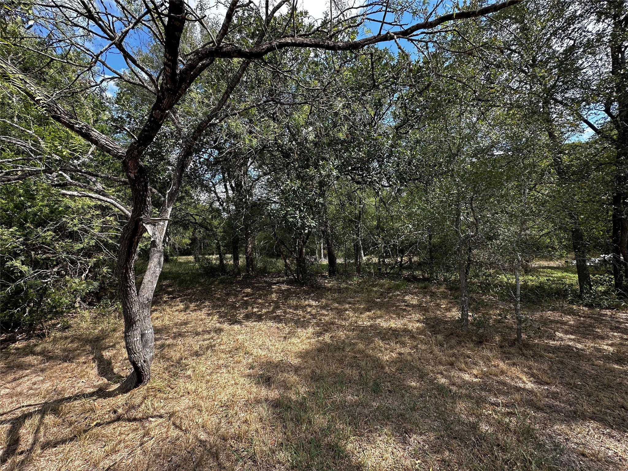 1200 Thompson Rd #Lot 2 Rd, Dale, TX 78616