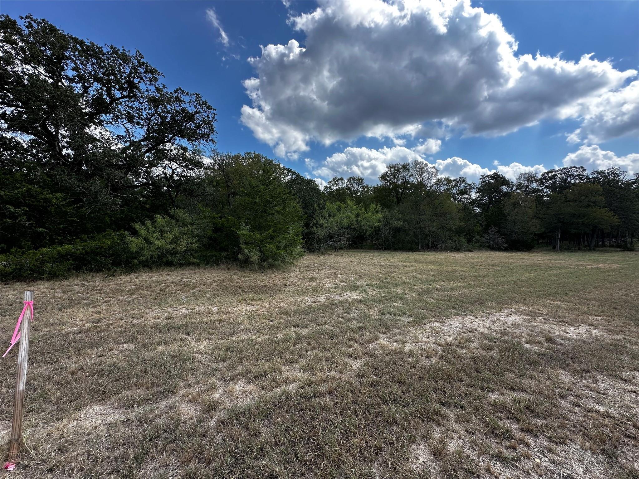 1200 Thompson Rd #Lot 2 Rd, Dale, TX 78616
