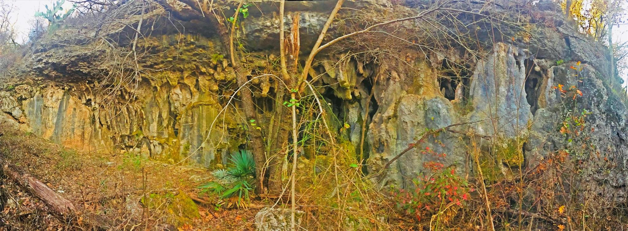 23601 Old Ferry Rd # 1, Spicewood, TX 78669