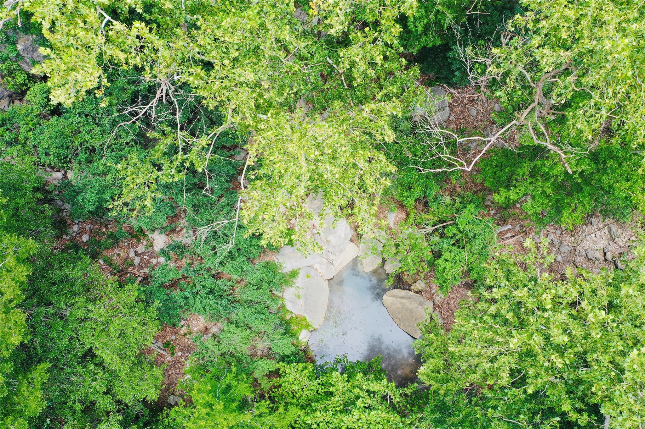 23601 Old Ferry Rd # 1, Spicewood, TX 78669