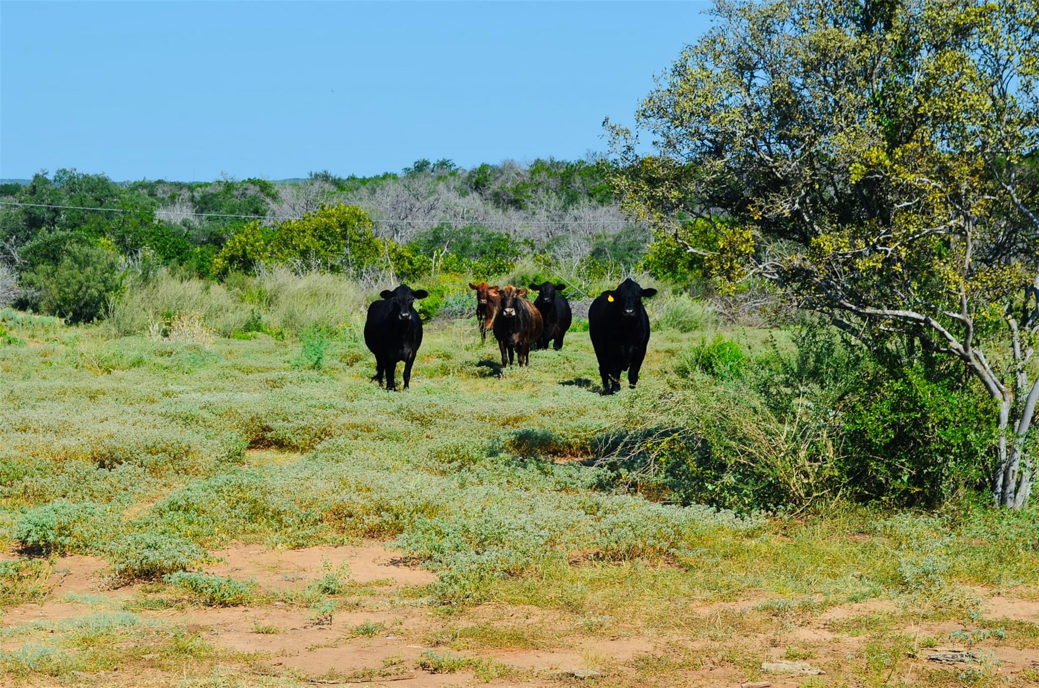 23601 Old Ferry Rd # 1, Spicewood, TX 78669