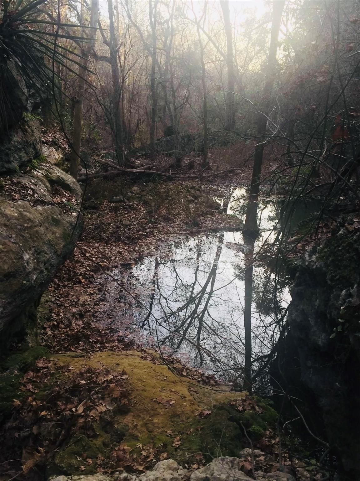 23601 Old Ferry Rd # 1, Spicewood, TX 78669