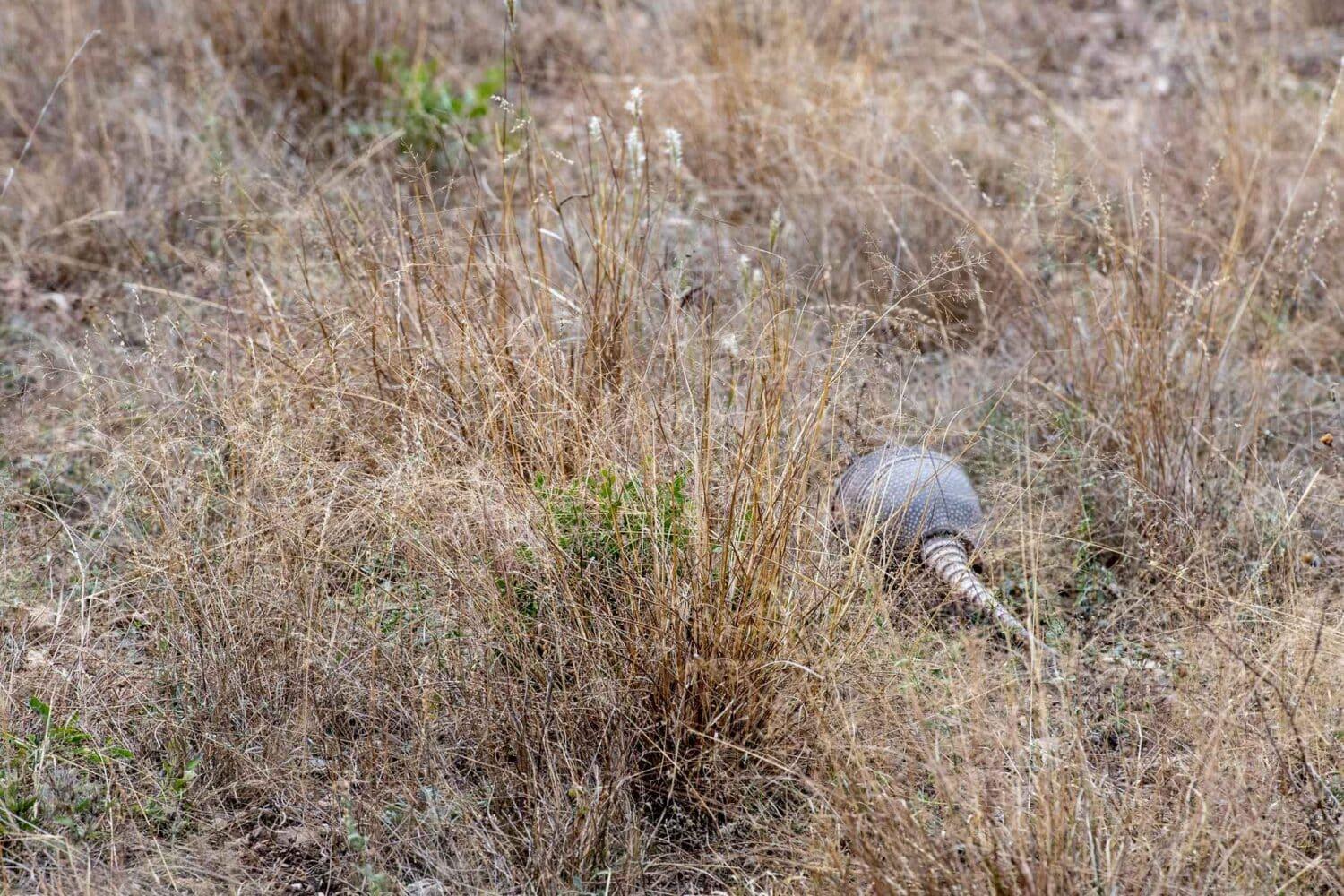 58-L Leona Ranch Rd, Brackettville, TX 78832