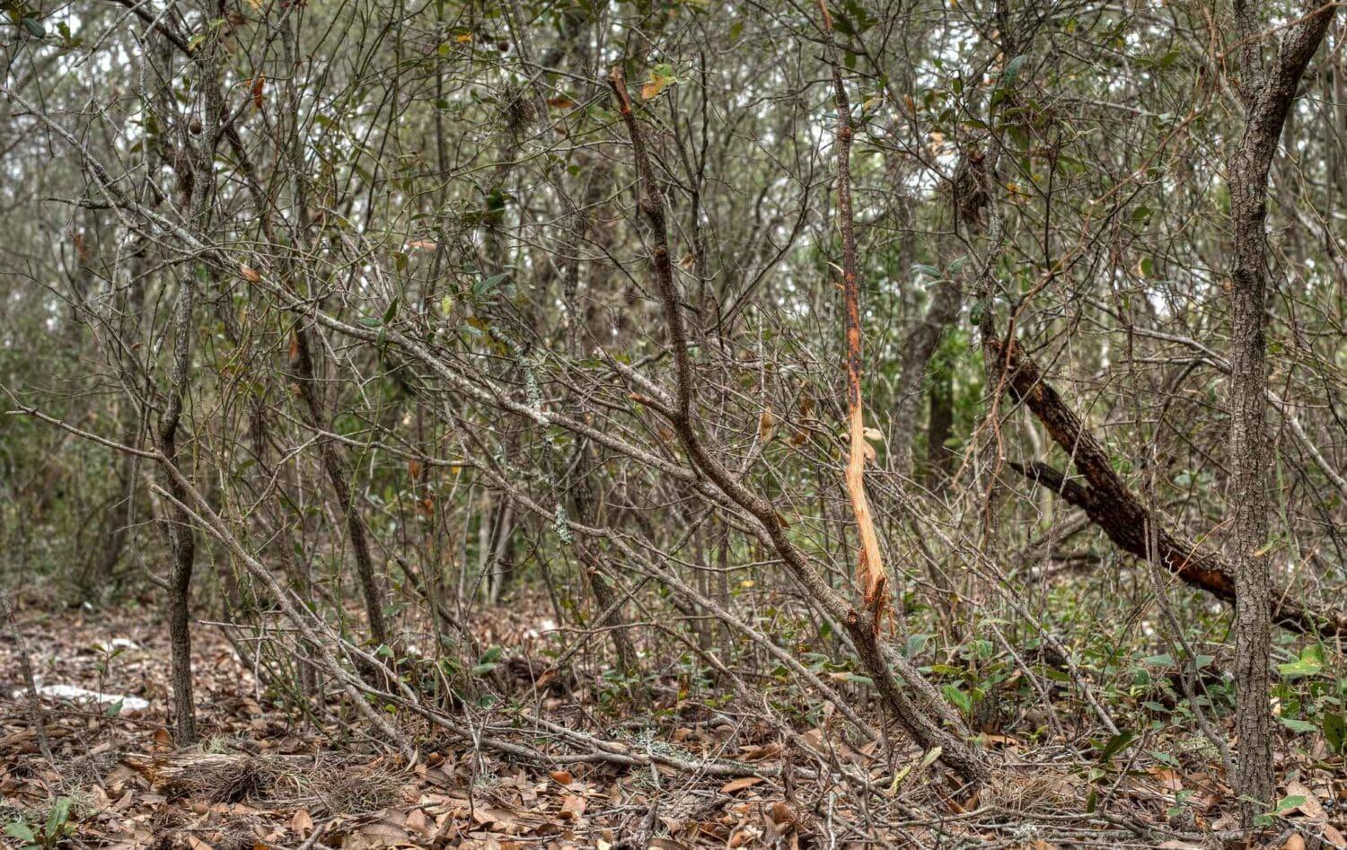 58-L Leona Ranch Rd, Brackettville, TX 78832