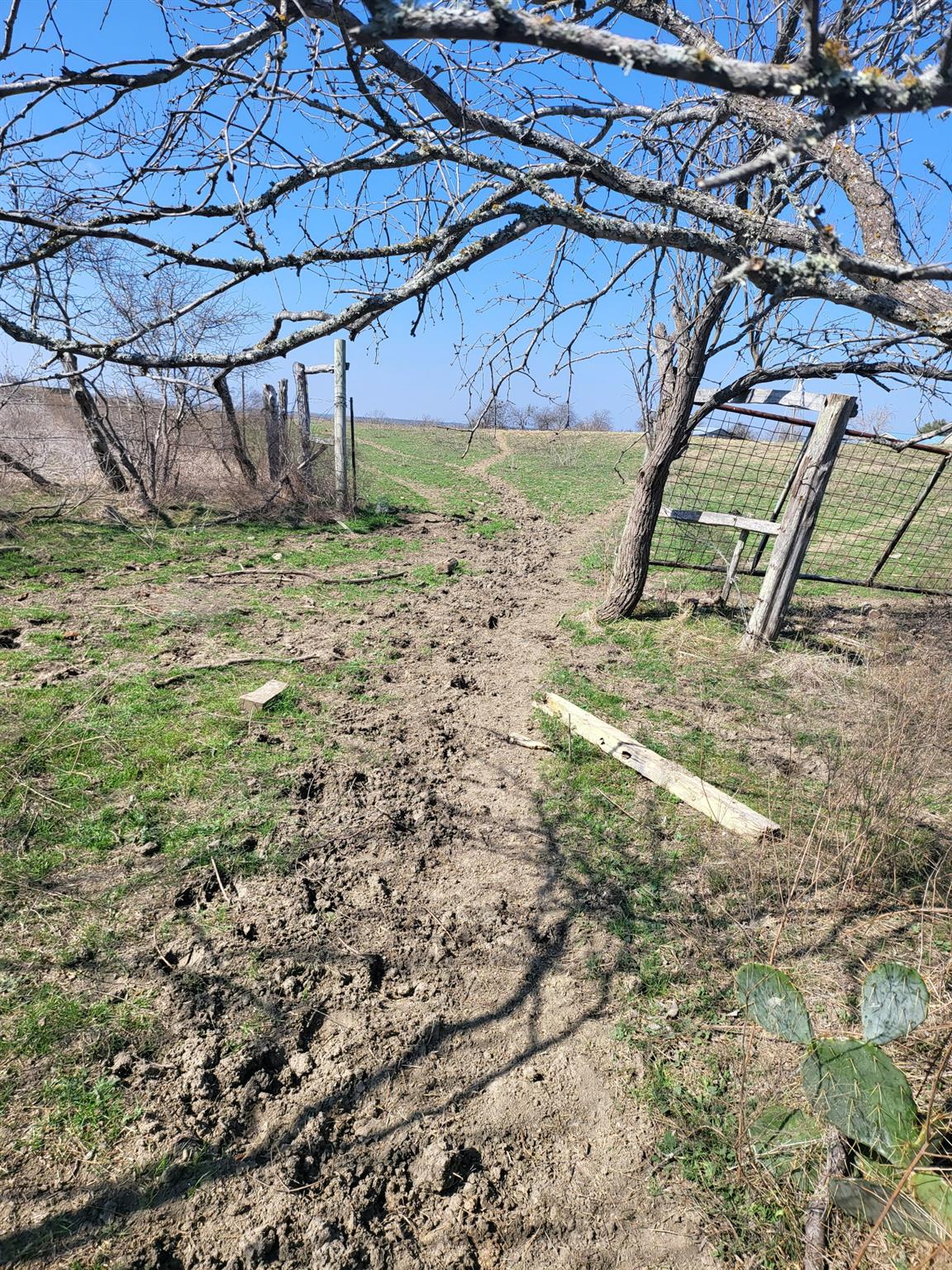 1051 N 1st St N 1st St, Jarrell, TX 76537