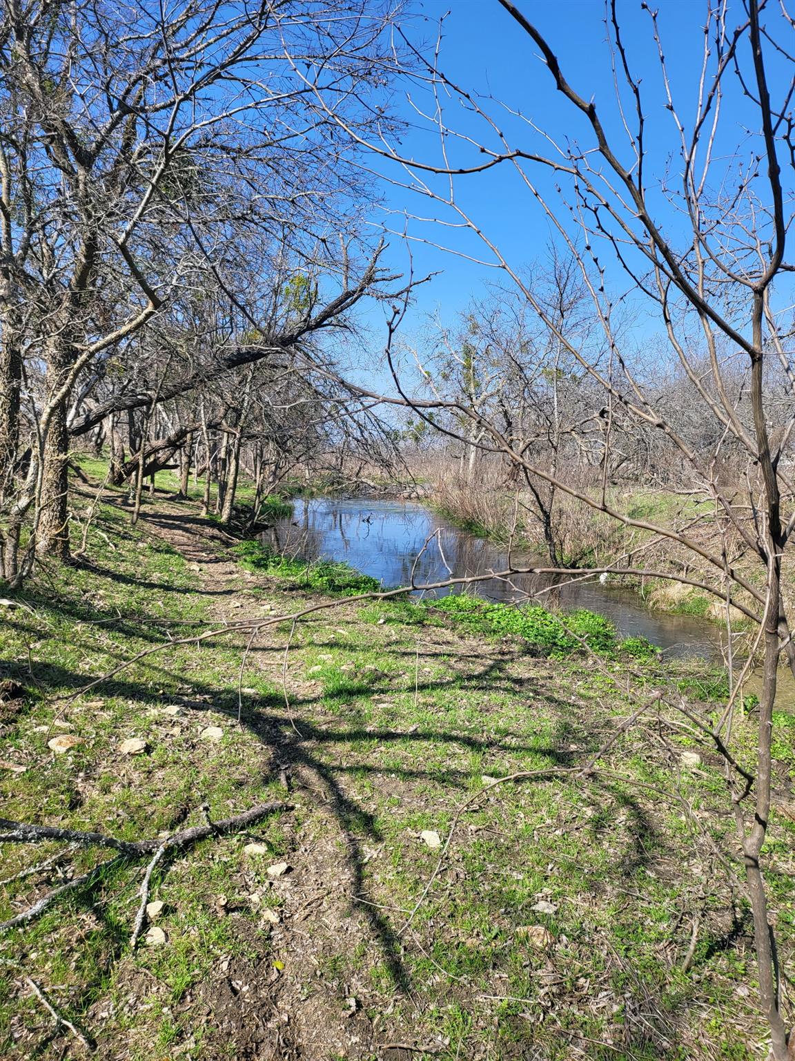 1051 N 1st St N 1st St, Jarrell, TX 76537