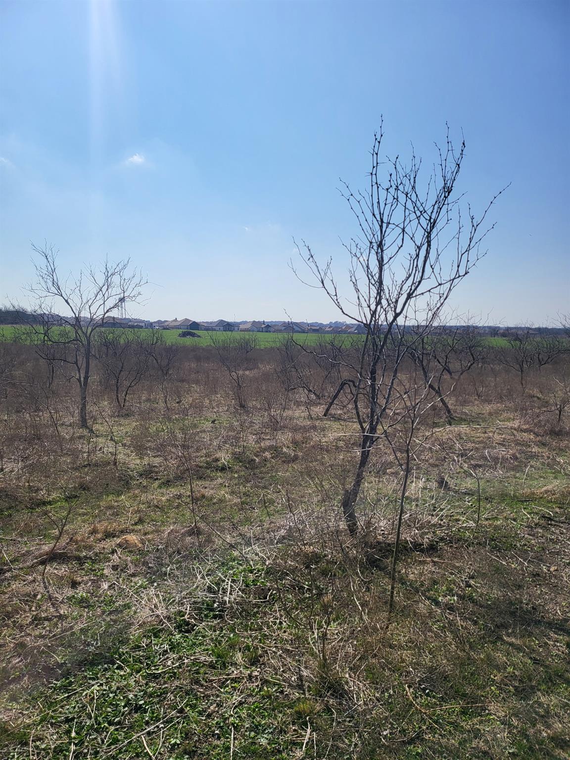 1051 N 1st St N 1st St, Jarrell, TX 76537