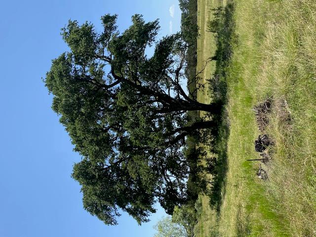 11 Becky Ln, Bertram, TX 78605