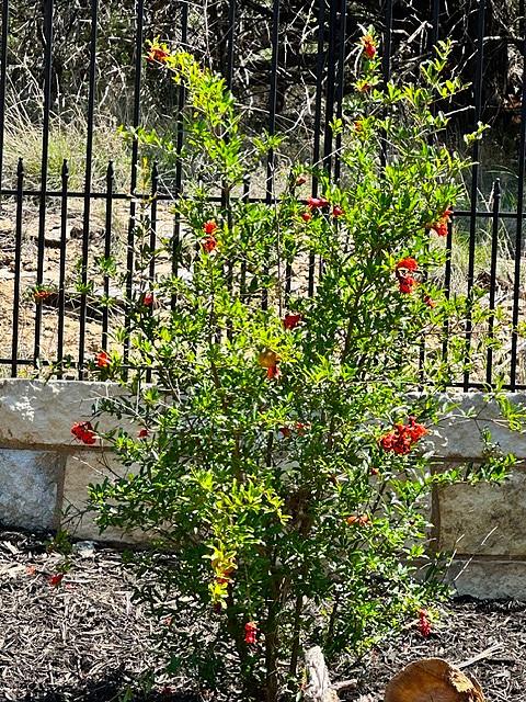 21504 Santa Domingo Ln, Lago Vista, TX 78645