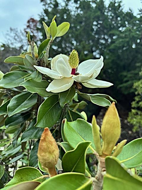 21504 Santa Domingo Ln, Lago Vista, TX 78645