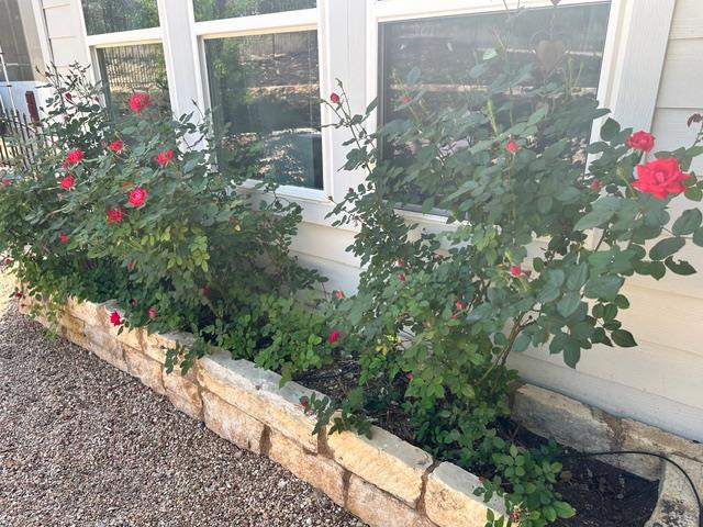 21504 Santa Domingo Ln, Lago Vista, TX 78645