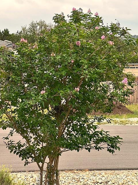 21504 Santa Domingo Ln, Lago Vista, TX 78645