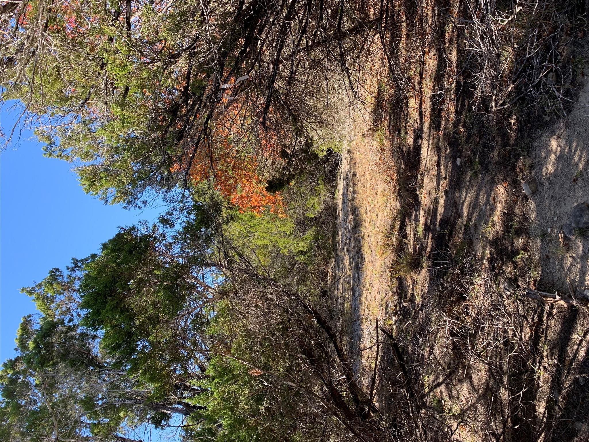 105 S Park Rd, Wimberley, TX 78676