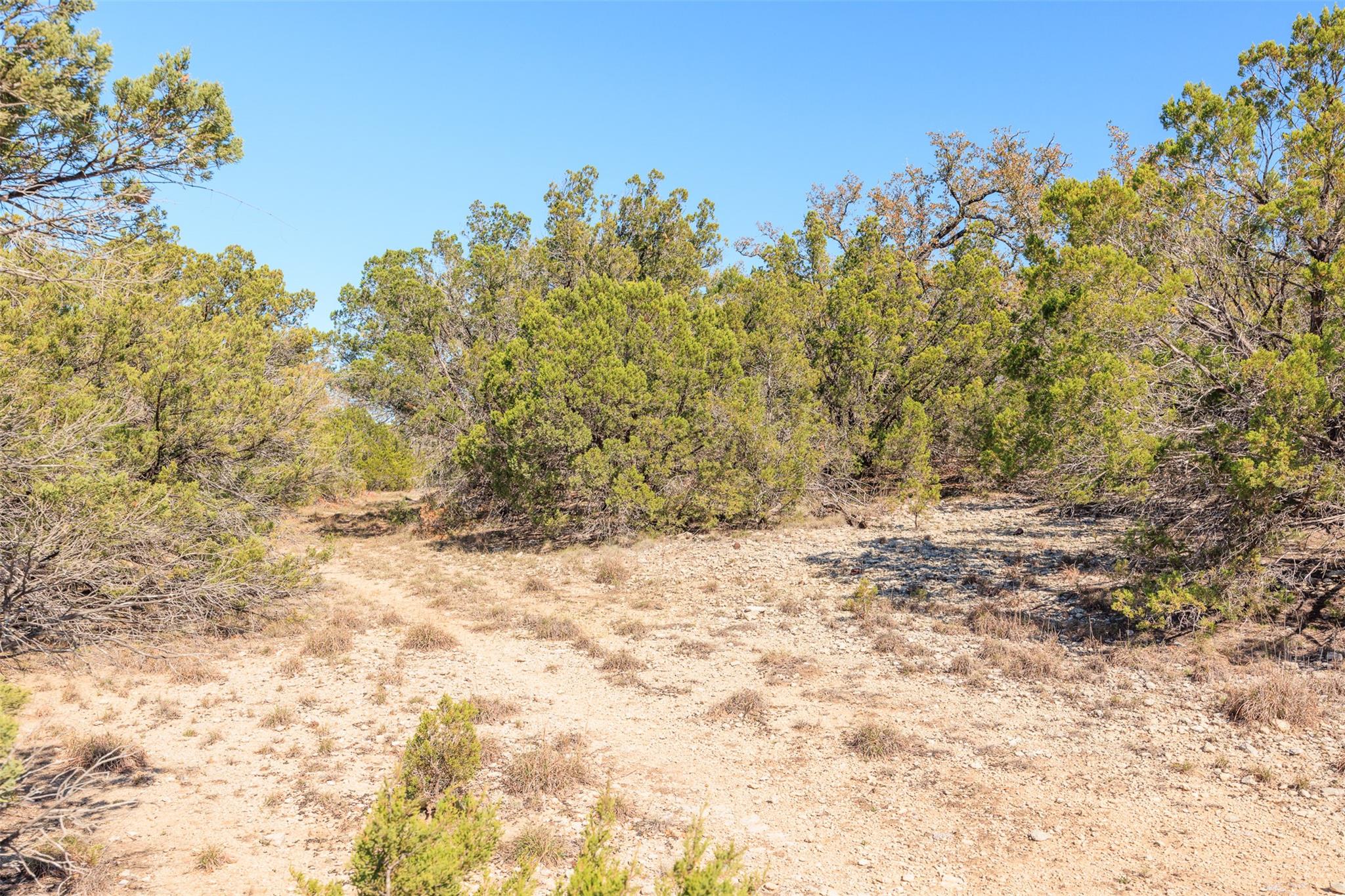 105 S Park Rd, Wimberley, TX 78676