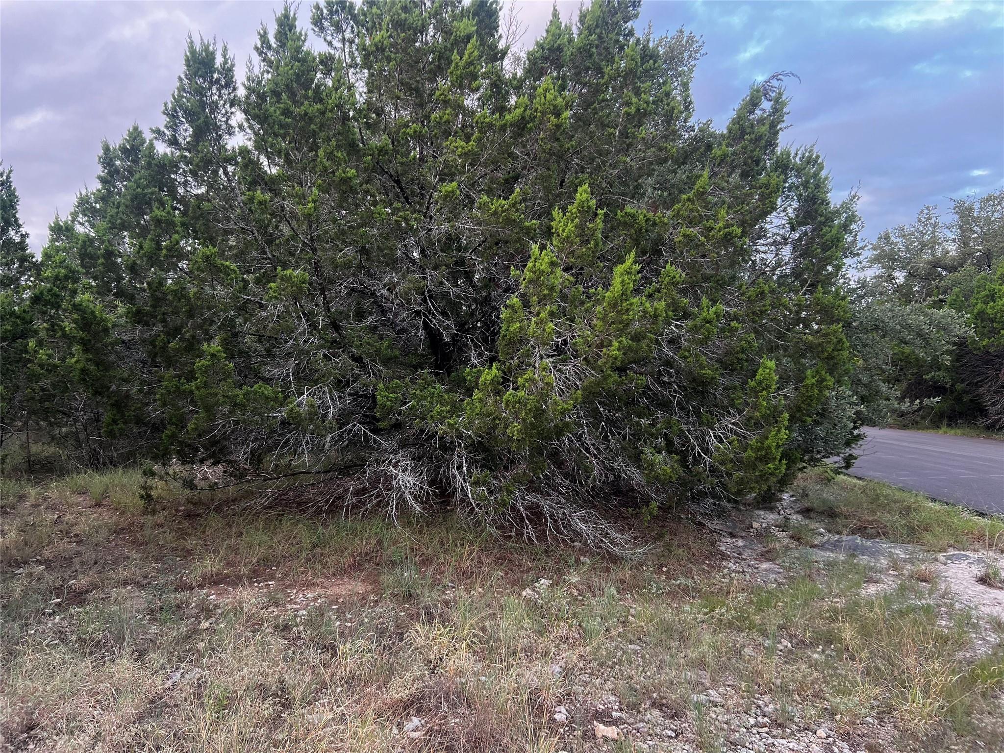 21429 Santa Rosa Ave, Lago Vista, TX 78645