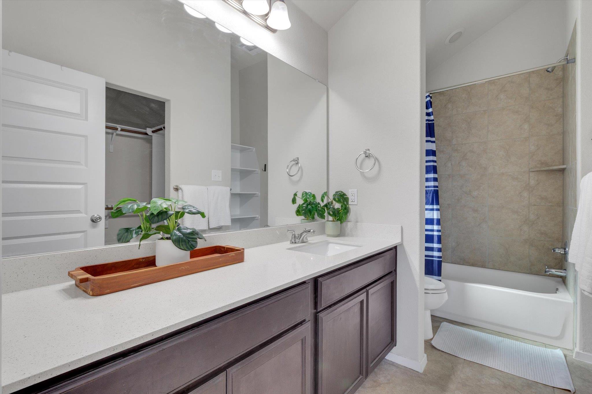 425 Spiny Lizard Ln, San Marcos, TX 78666