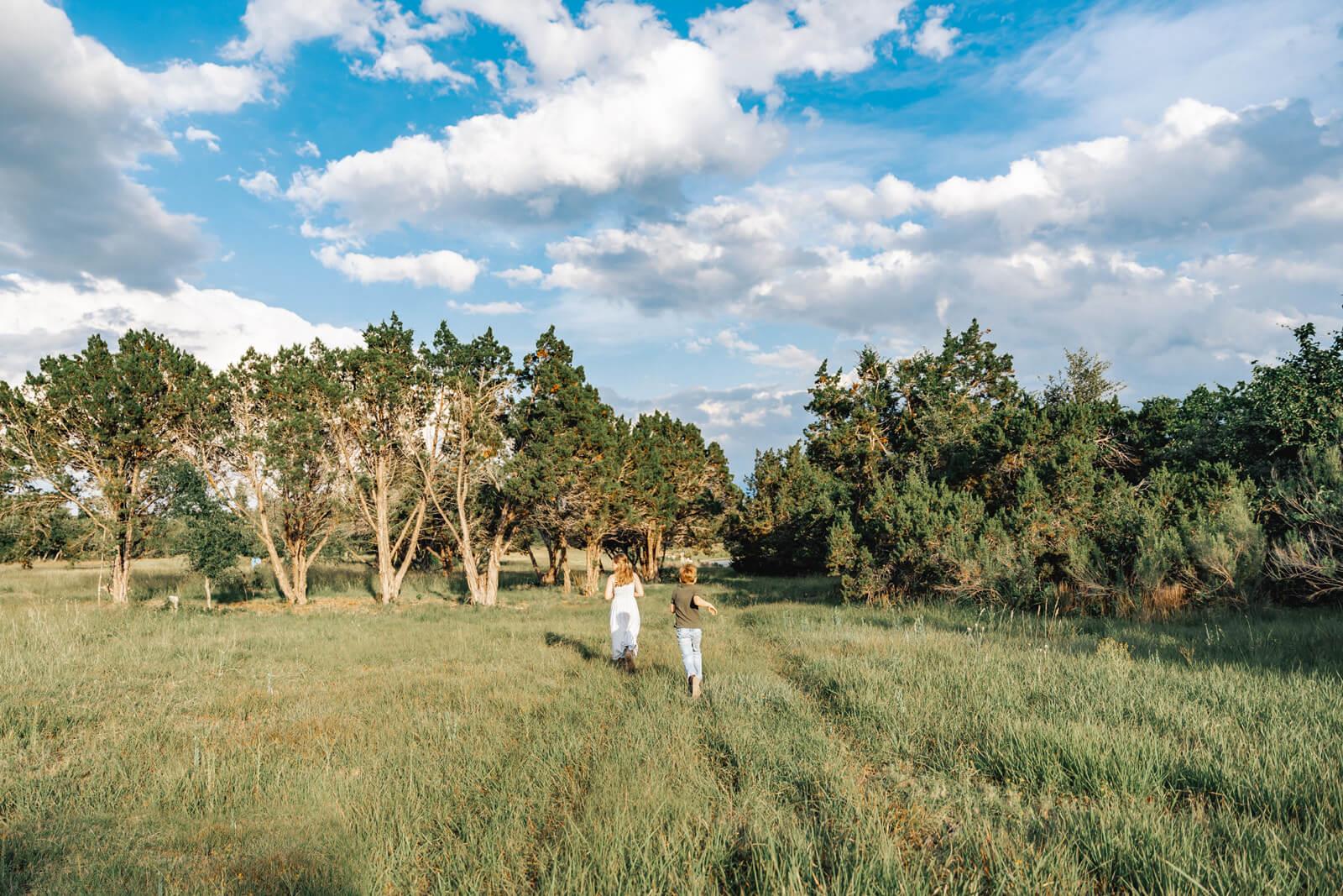 17650-C Hamilton Pool Rd, Austin, TX 78738