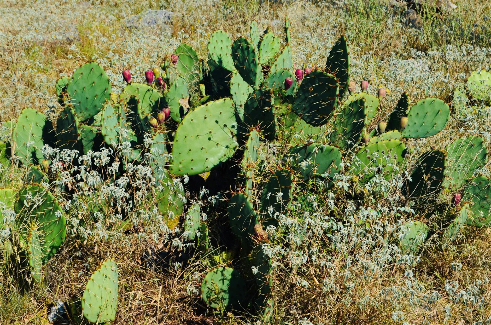 23601 Old Ferry Rd # 1, Spicewood, TX 78669