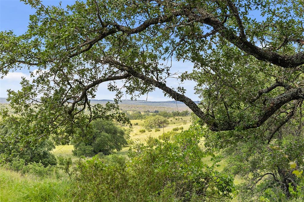 428 Summit Spring Ln, Johnson City, TX 78636