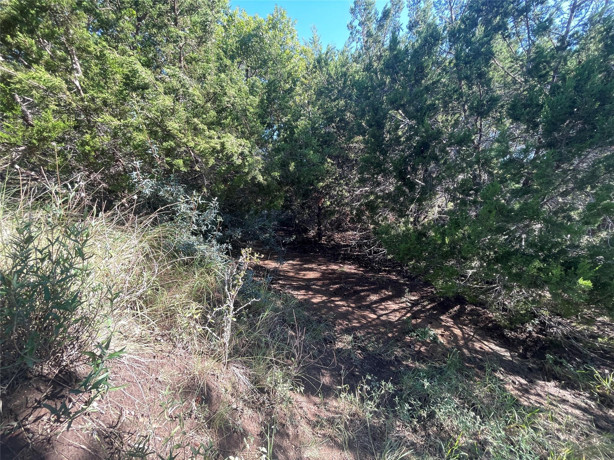 428 Summit Spring Ln, Johnson City, TX 78636