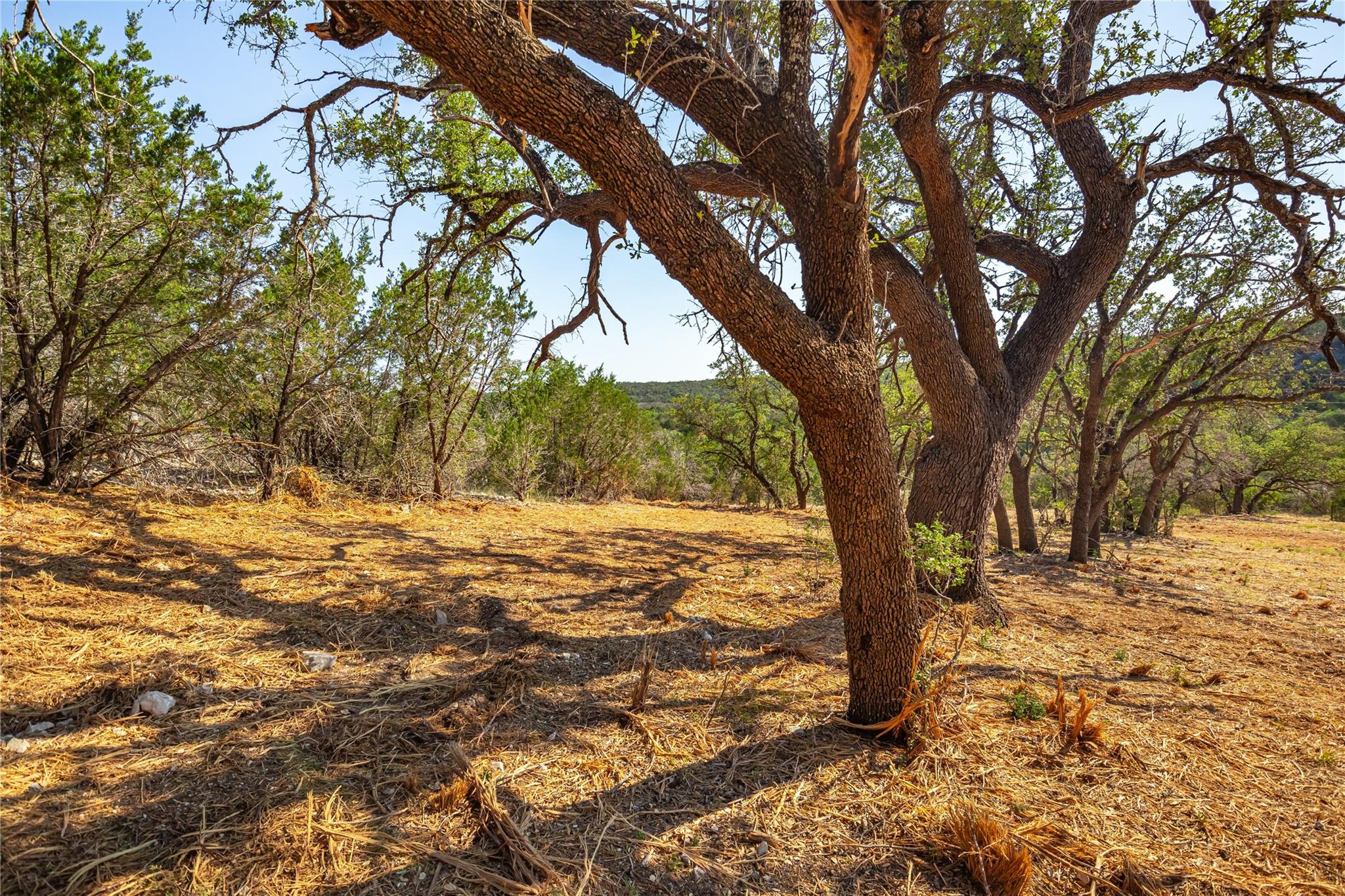 Lot 20 Seven Spring Dr # lot 20, Junction, TX 76849