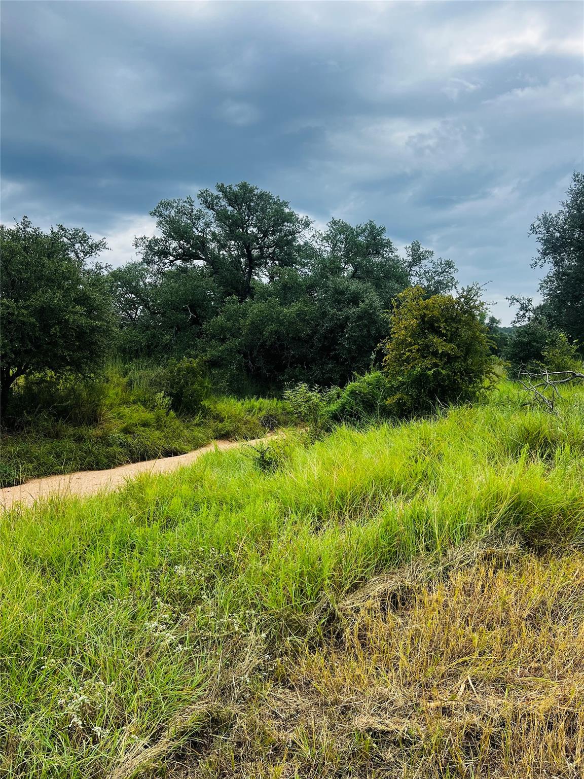 241 Lehne Loop, Buchanan Dam, TX 78609