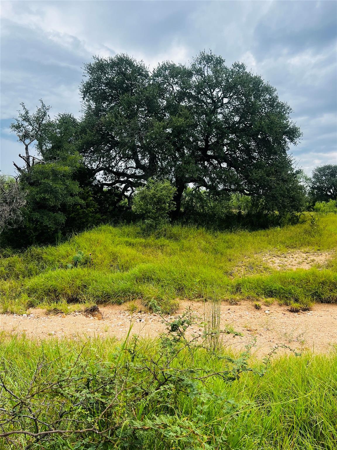 241 Lehne Loop, Buchanan Dam, TX 78609