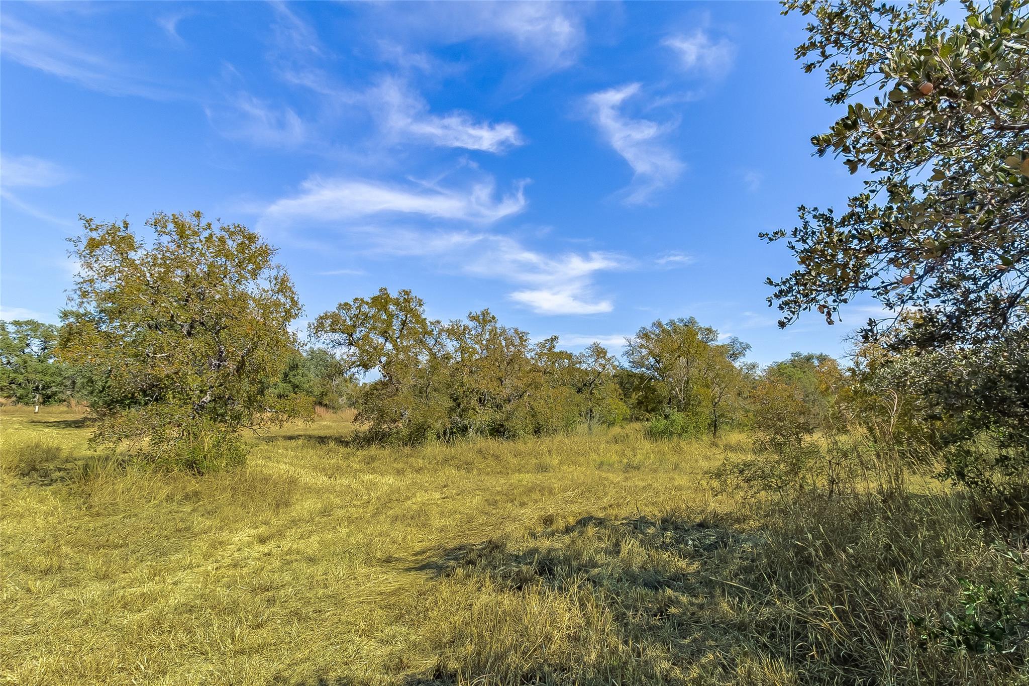 241 Lehne Loop, Buchanan Dam, TX 78609