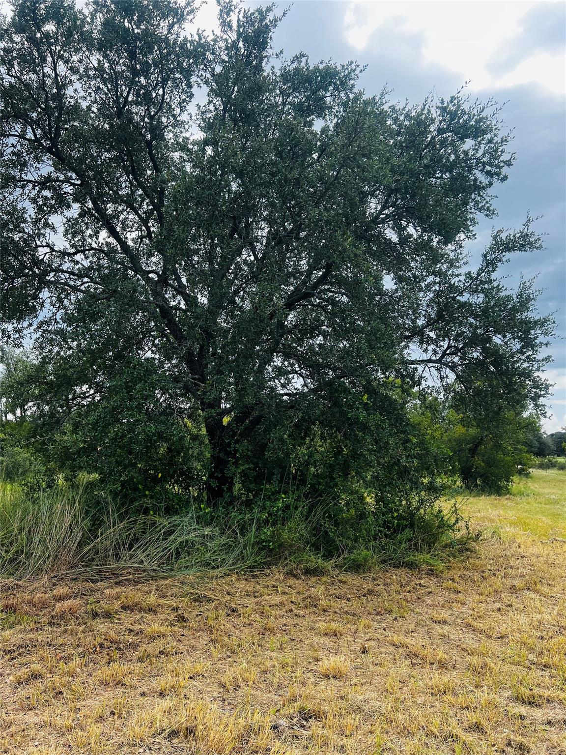 241 Lehne Loop, Buchanan Dam, TX 78609